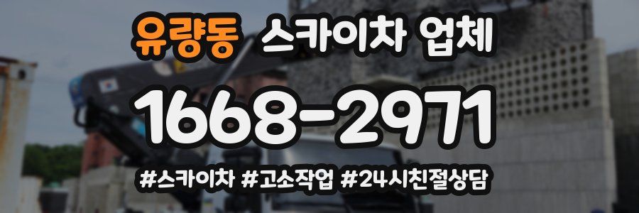 유량동 스카이차 업체