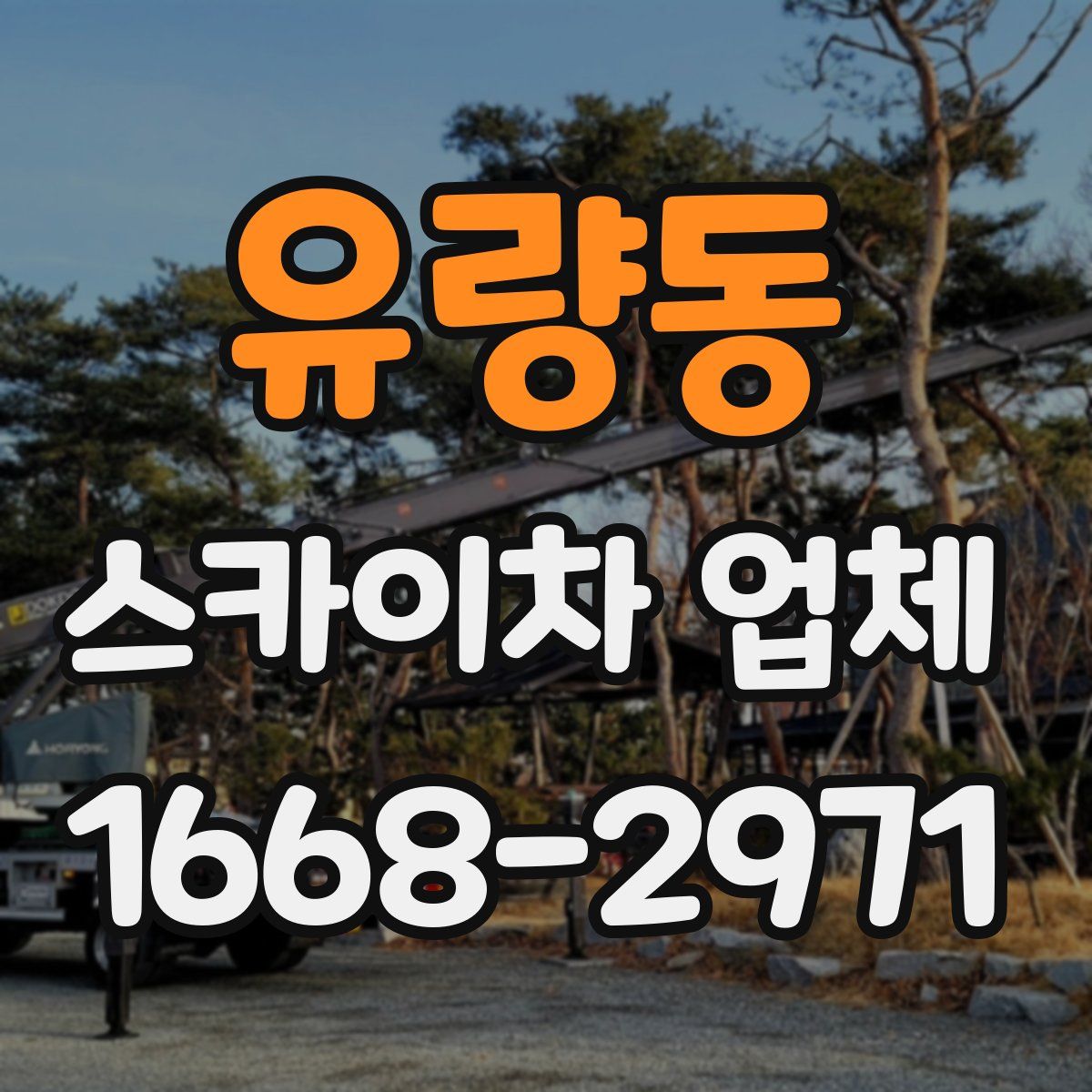 유량동 스카이차 업체