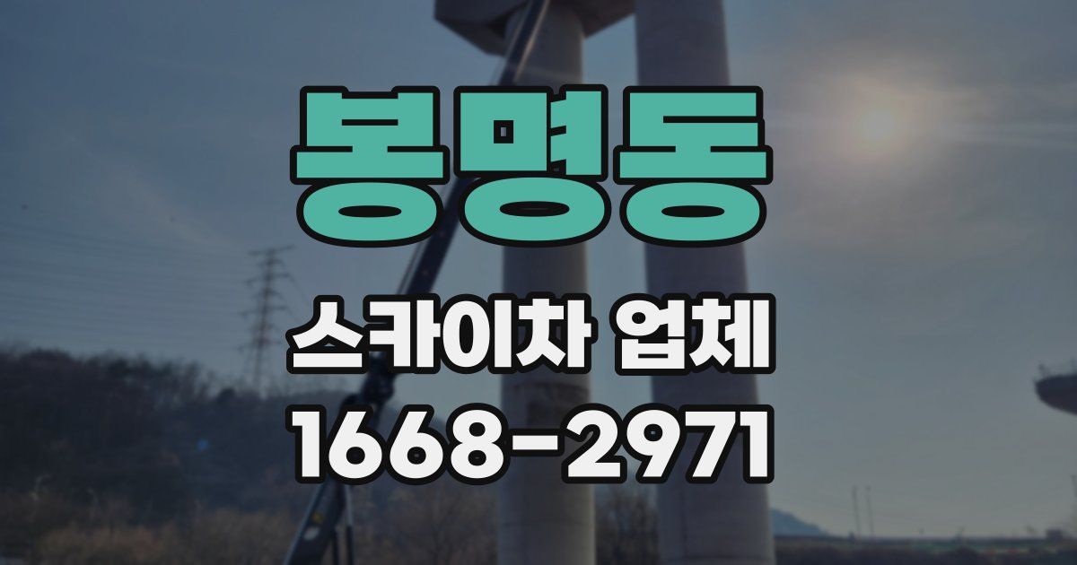 봉명동 스카이차 업체
