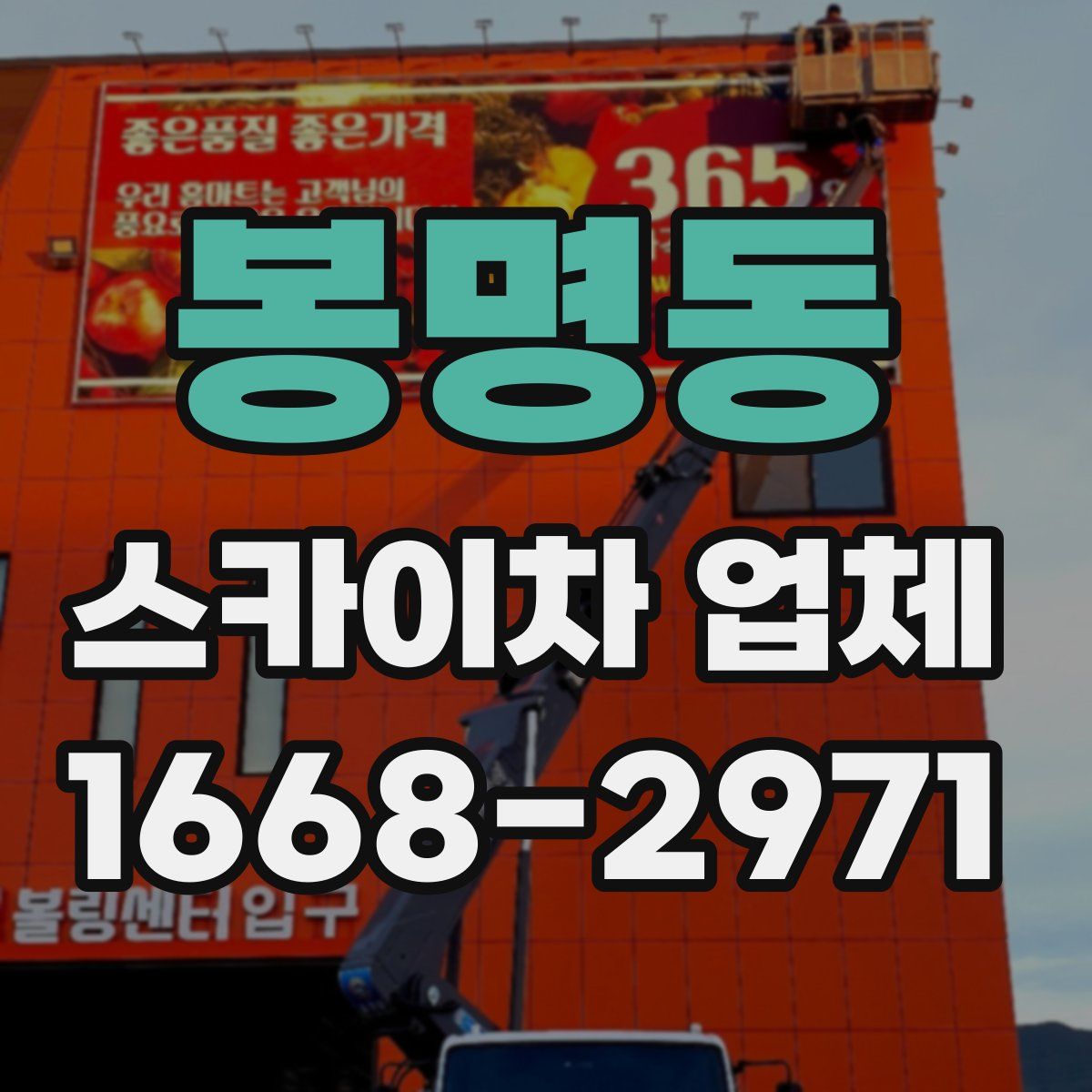 봉명동 스카이차 업체