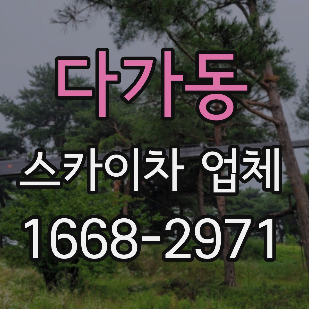 다가동 스카이차 업체