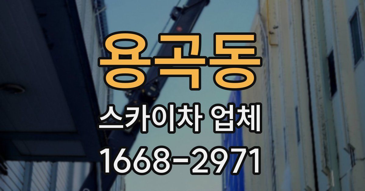 용곡동 스카이차 업체