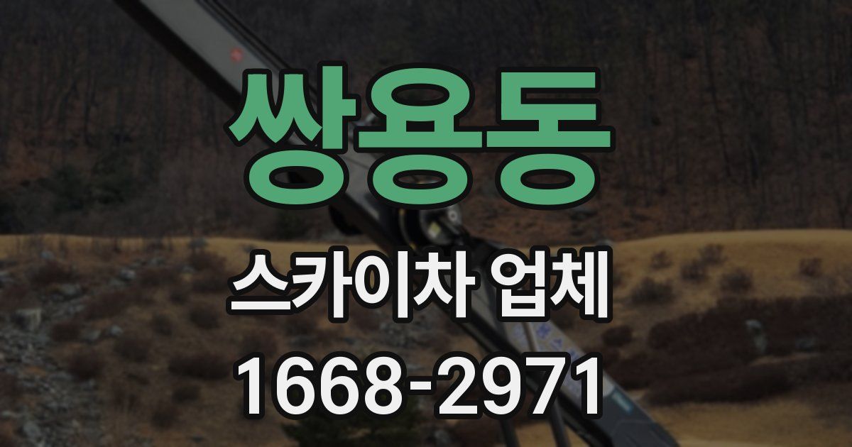 쌍용동 스카이차 업체
