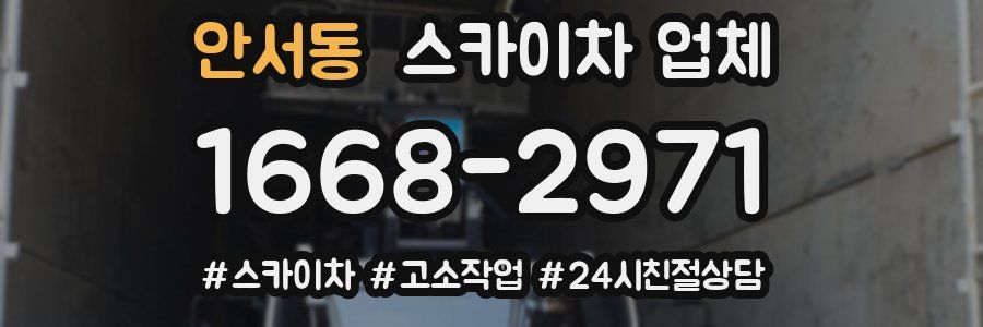 안서동 스카이차 업체