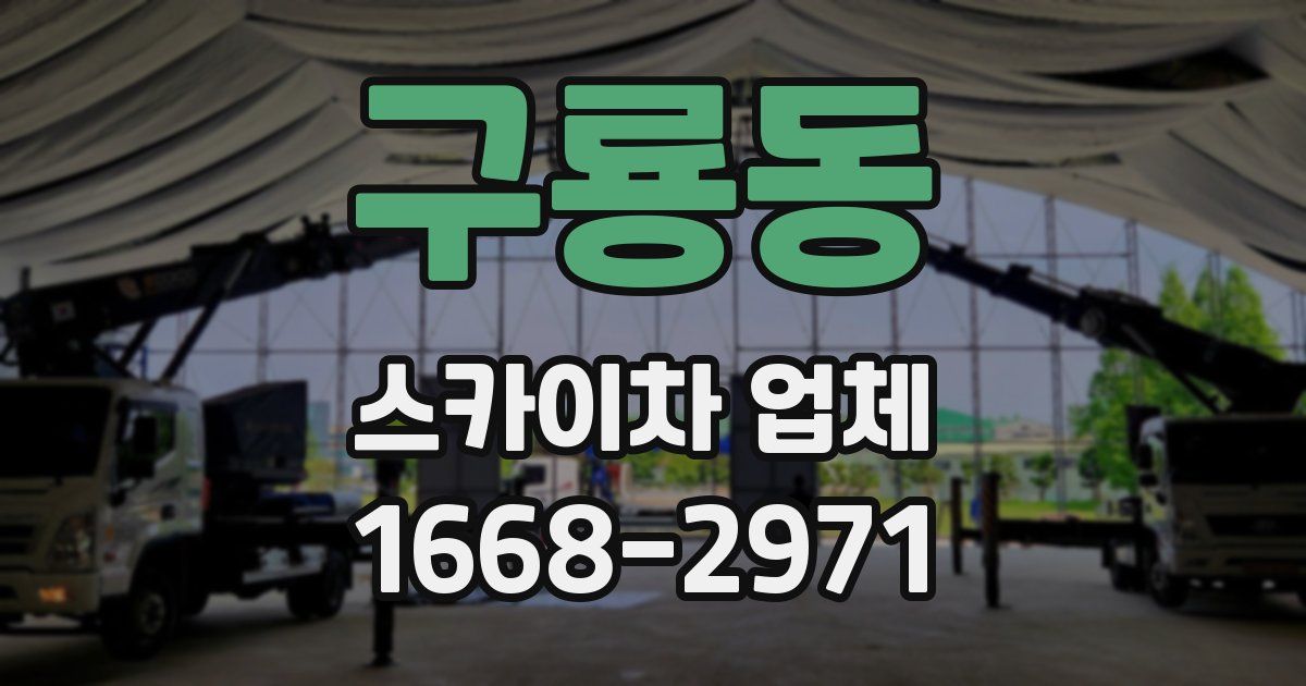구룡동 스카이차 업체