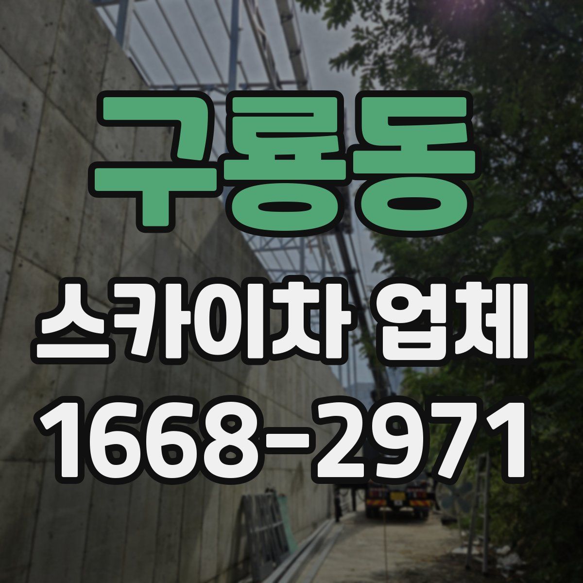 구룡동 스카이차 업체