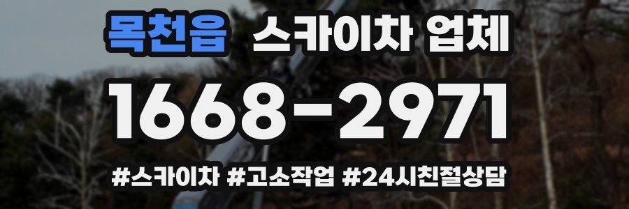 목천읍 스카이차 업체
