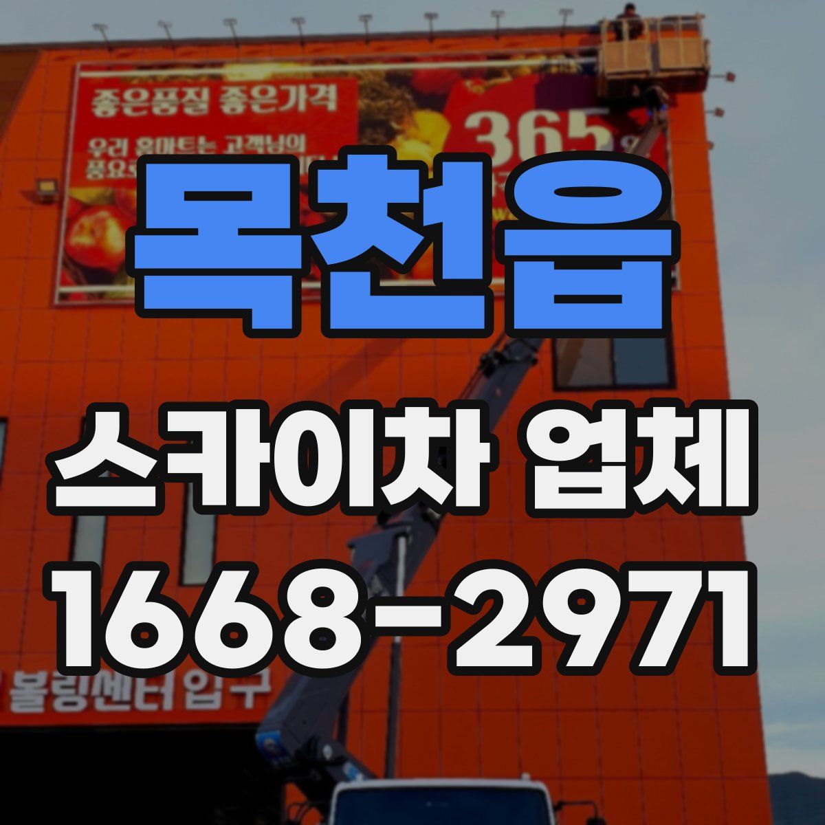 목천읍 스카이차 업체