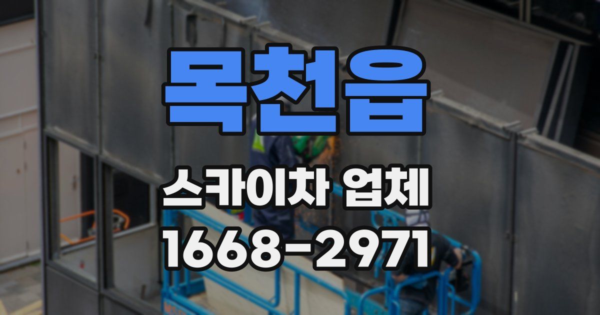 목천읍 스카이차 업체