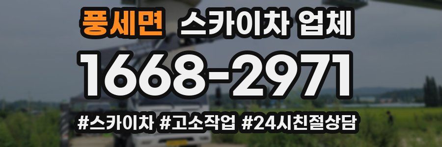 풍세면 스카이차 업체
