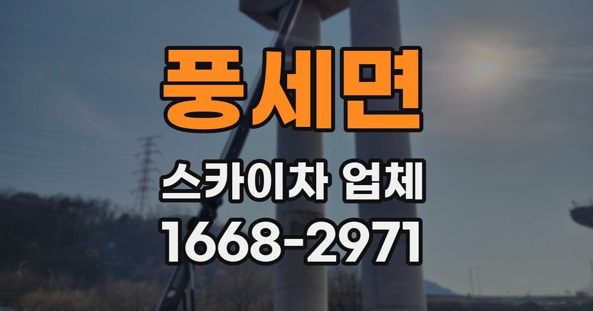 풍세면 스카이차 업체