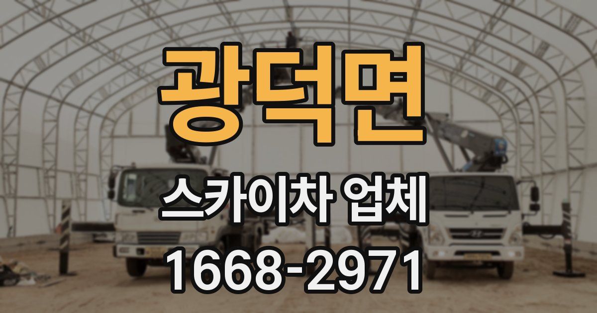 광덕면 스카이차 업체