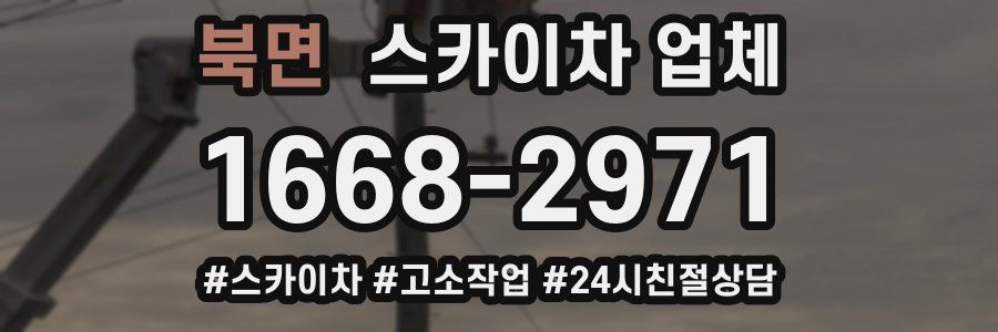 북면 스카이차 업체