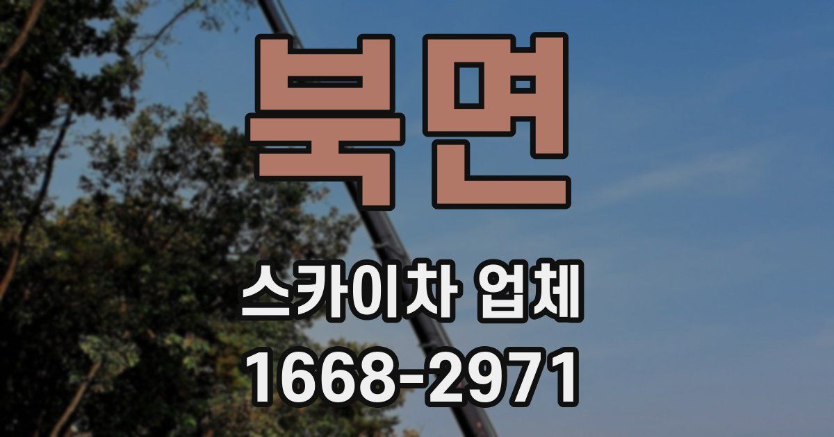 북면 스카이차 업체