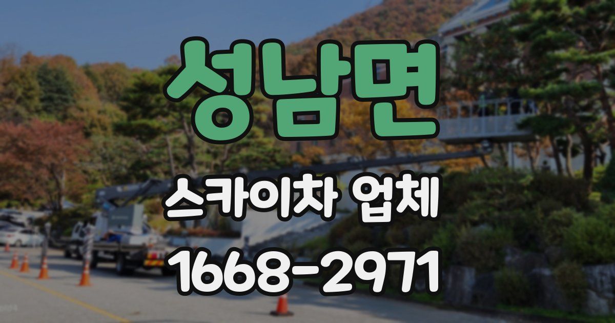 성남면 스카이차 업체