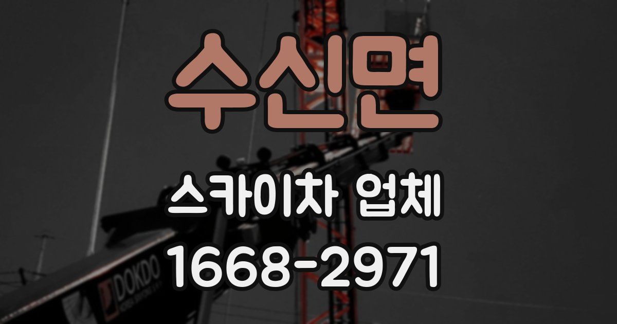 수신면 스카이차 업체