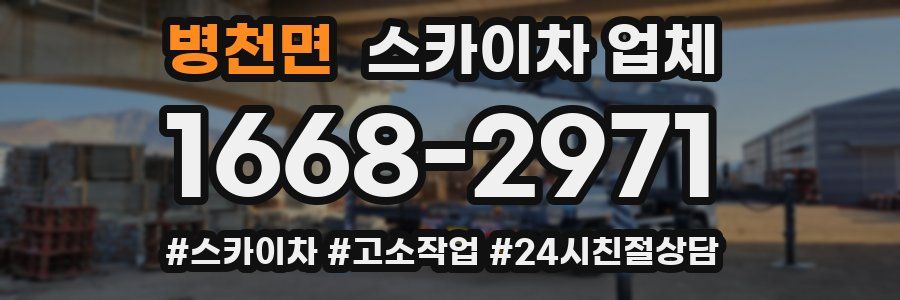 병천면 스카이차 업체