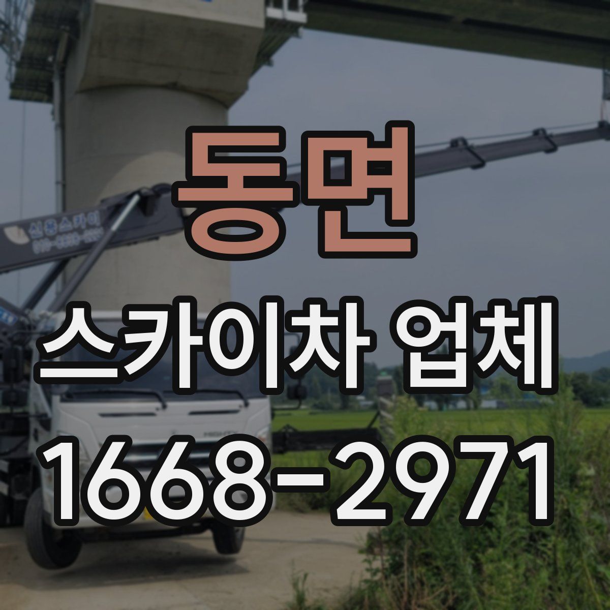 동면 스카이차 업체