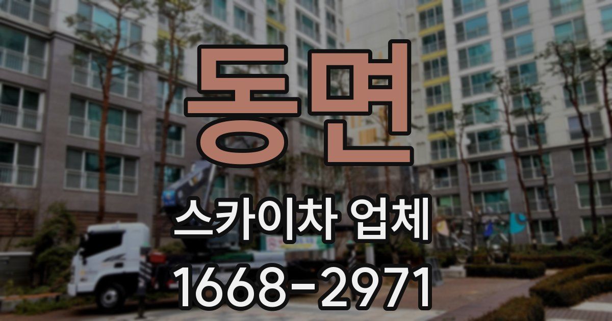 동면 스카이차 업체
