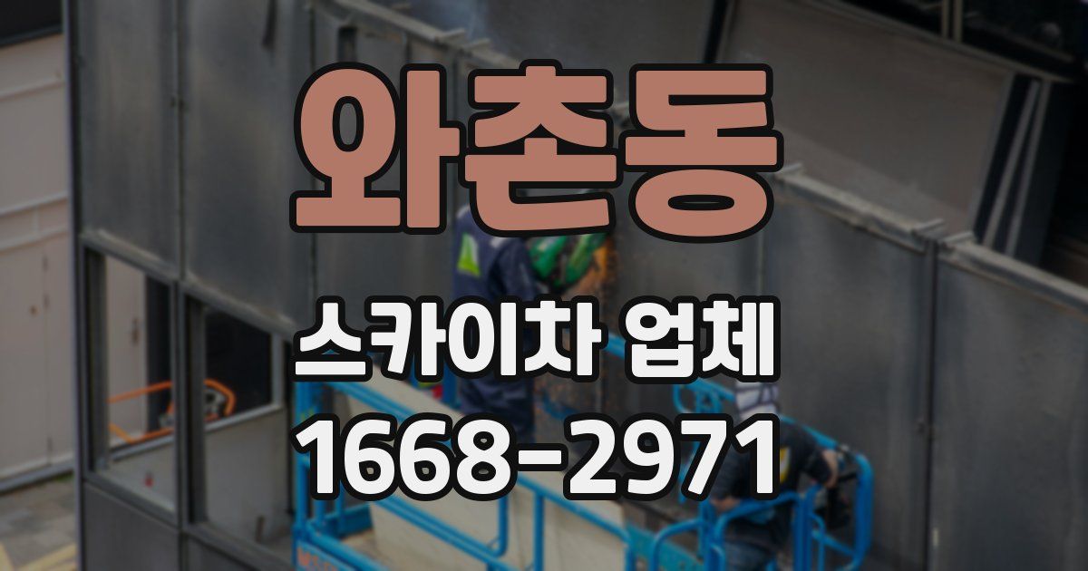 와촌동 스카이차 업체