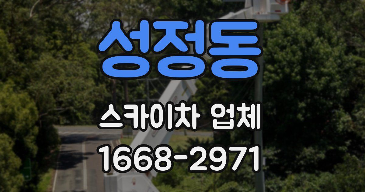 성정동 스카이차 업체