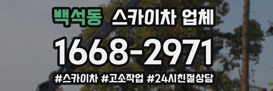 백석동 스카이차 업체