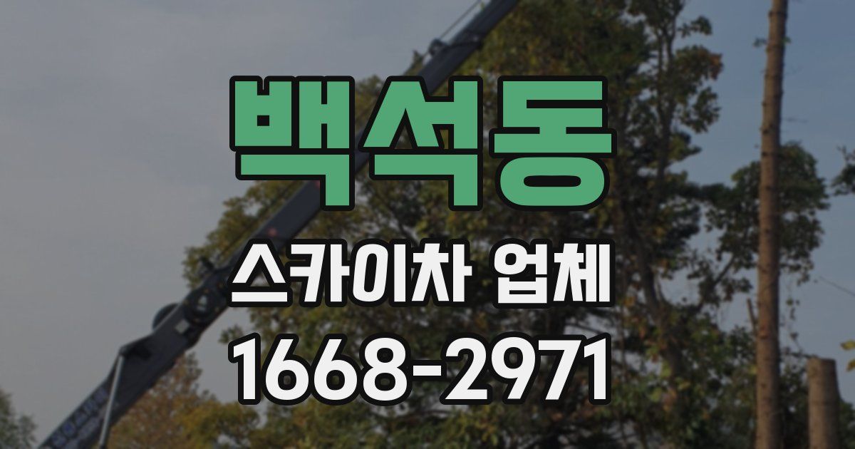 백석동 스카이차 업체