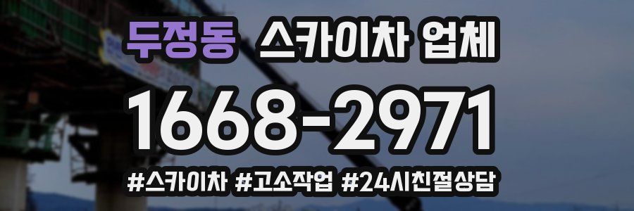 두정동 스카이차 업체