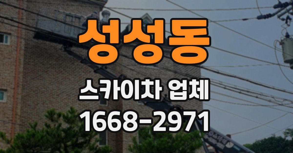 성성동 스카이차 업체