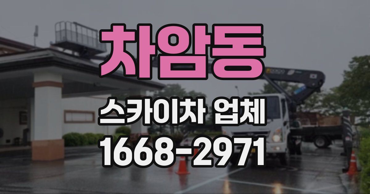 차암동 스카이차 업체