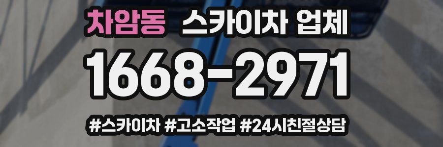 차암동 스카이차 업체