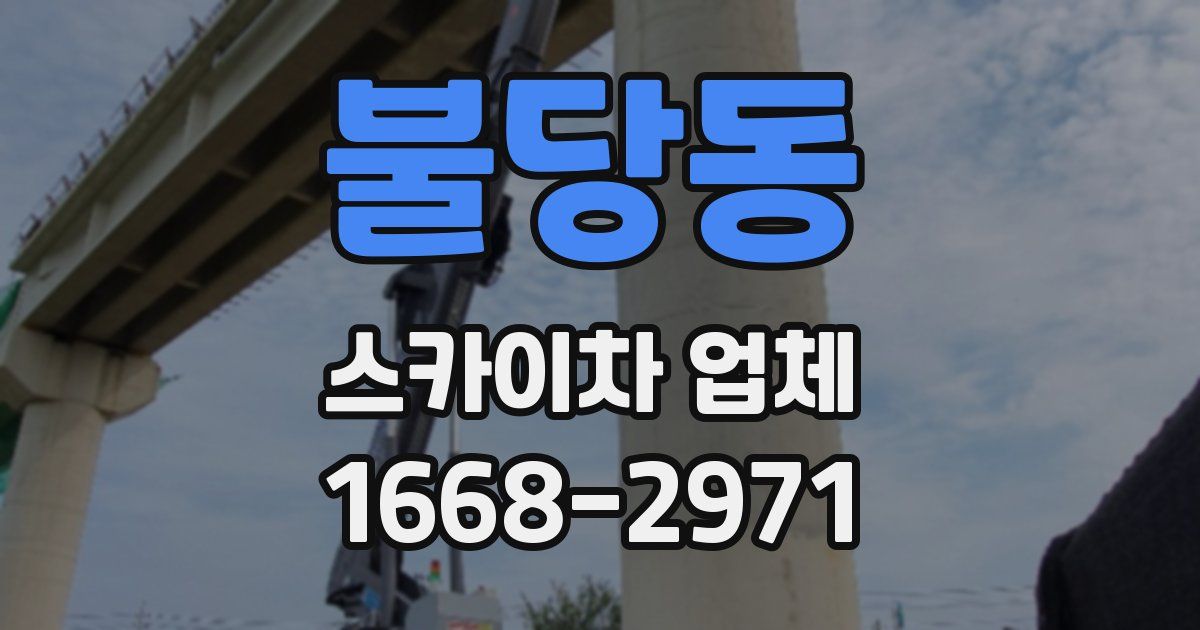 불당동 스카이차 업체