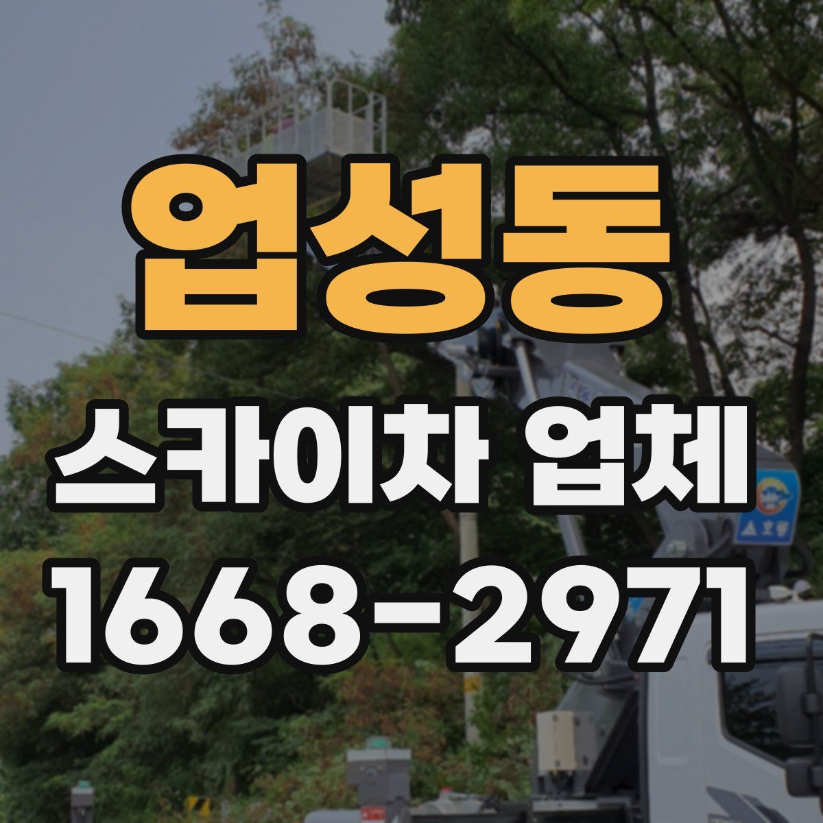 업성동 스카이차 업체