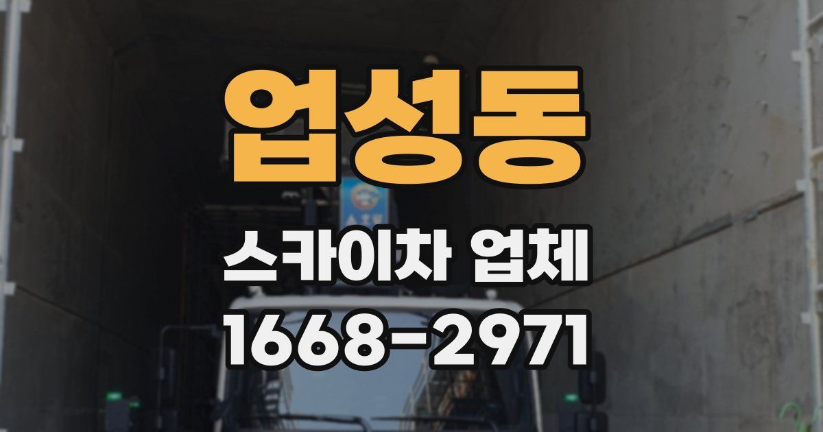 업성동 스카이차 업체