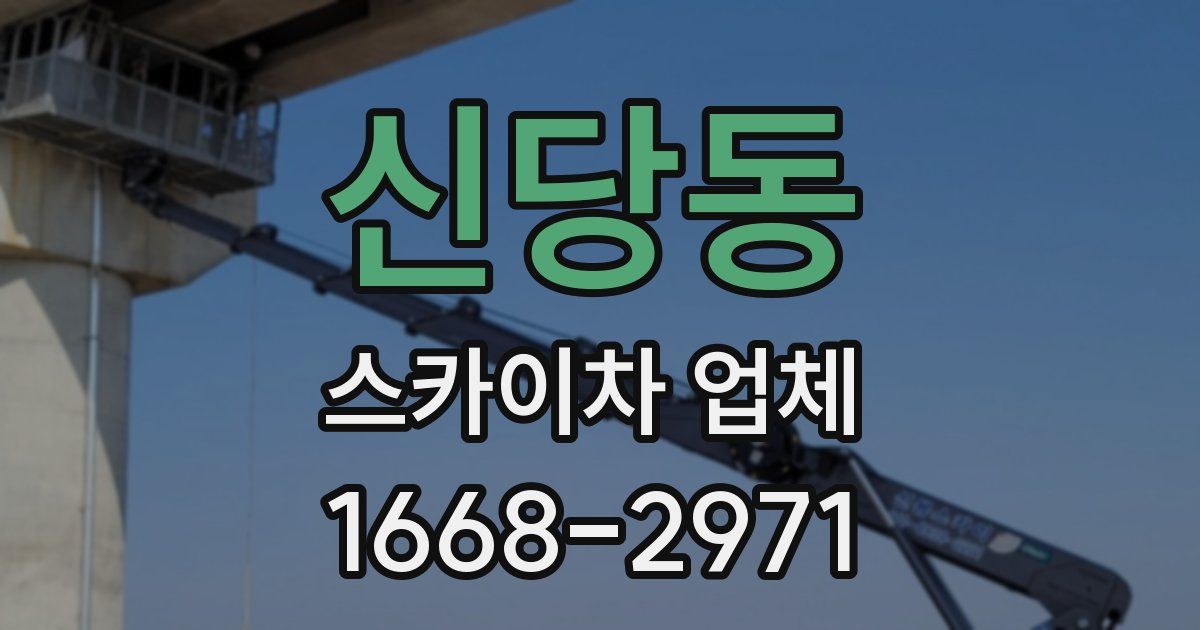 신당동 스카이차 업체