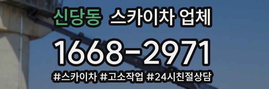 신당동 스카이차 업체