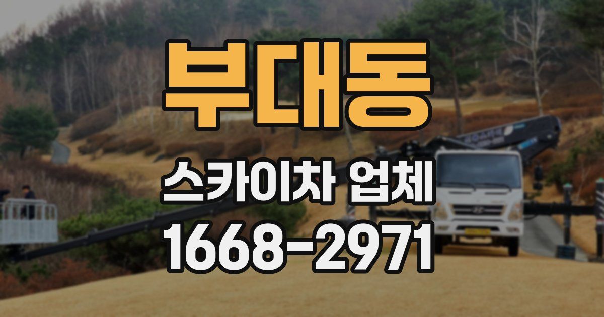 부대동 스카이차 업체