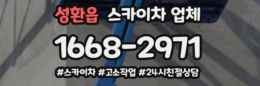 성환읍 스카이차 업체