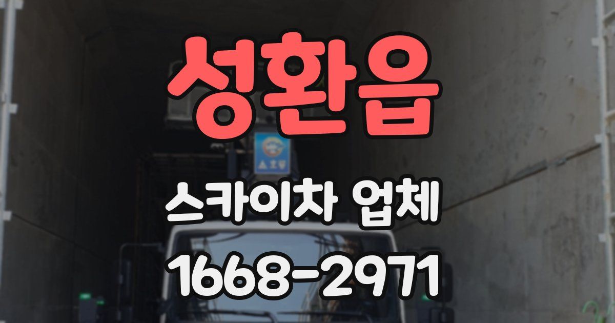 성환읍 스카이차 업체