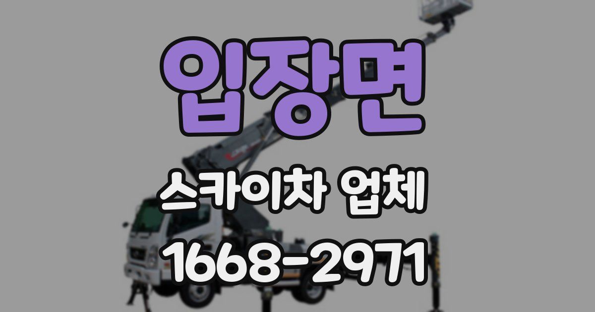 입장면 스카이차 업체