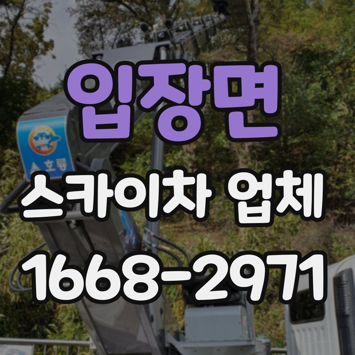 입장면 스카이차 업체
