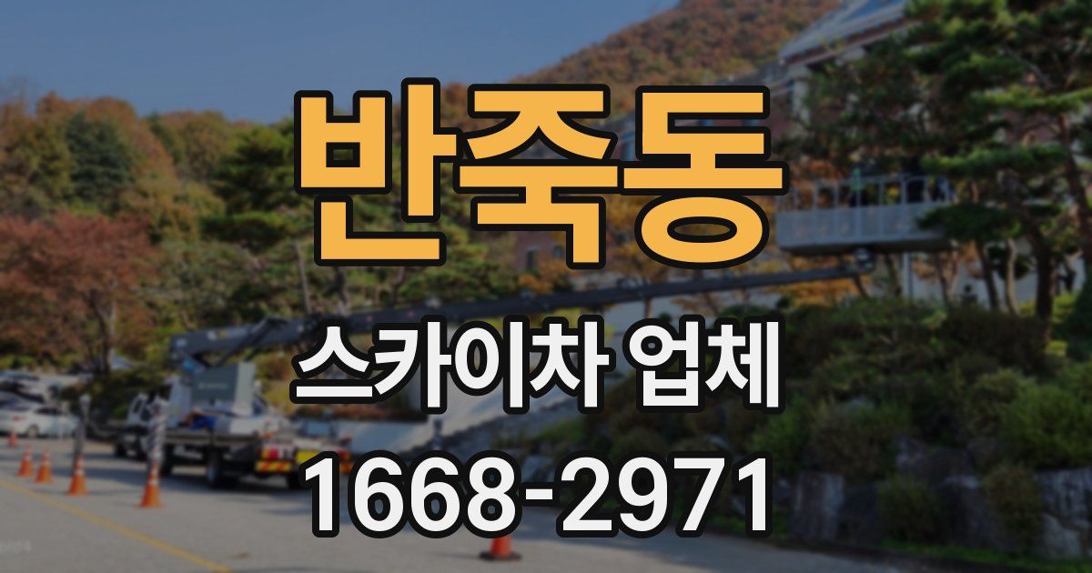 반죽동 스카이차 업체
