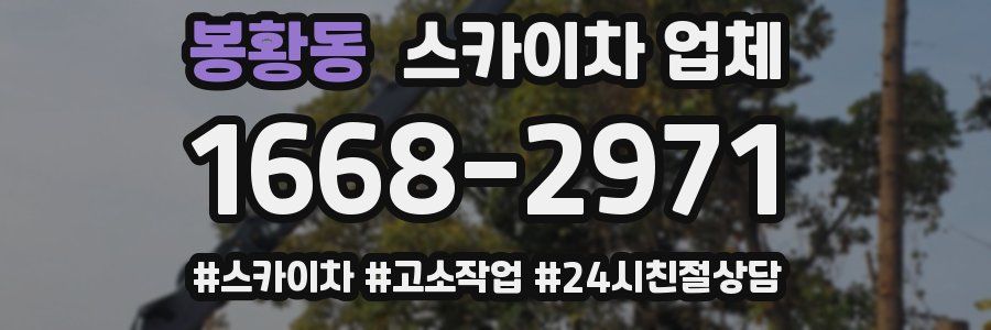 봉황동 스카이차 업체