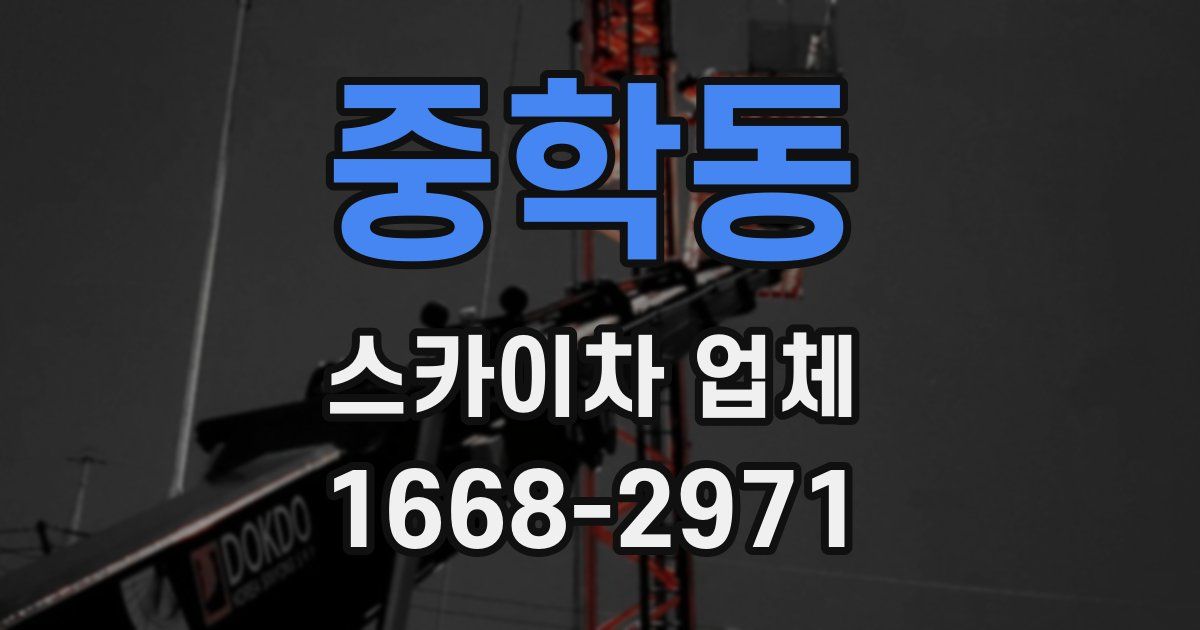 중학동 스카이차 업체