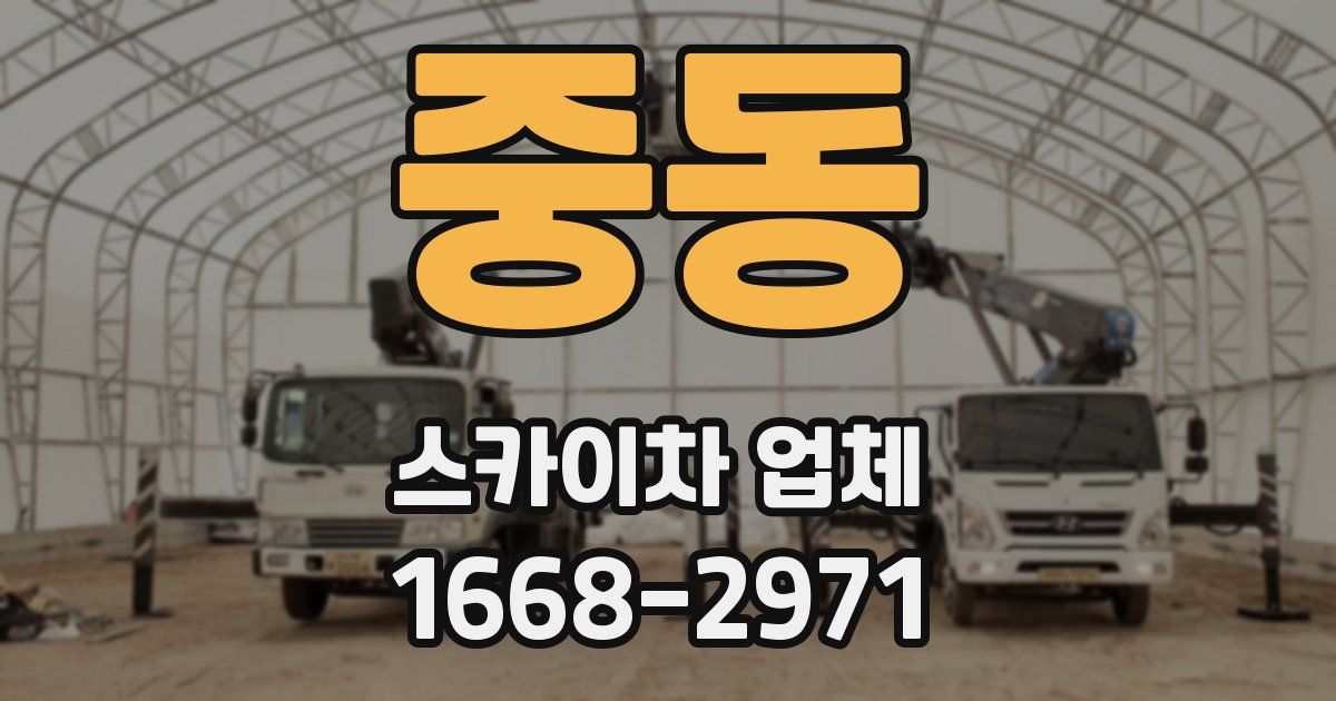 중동 스카이차 업체