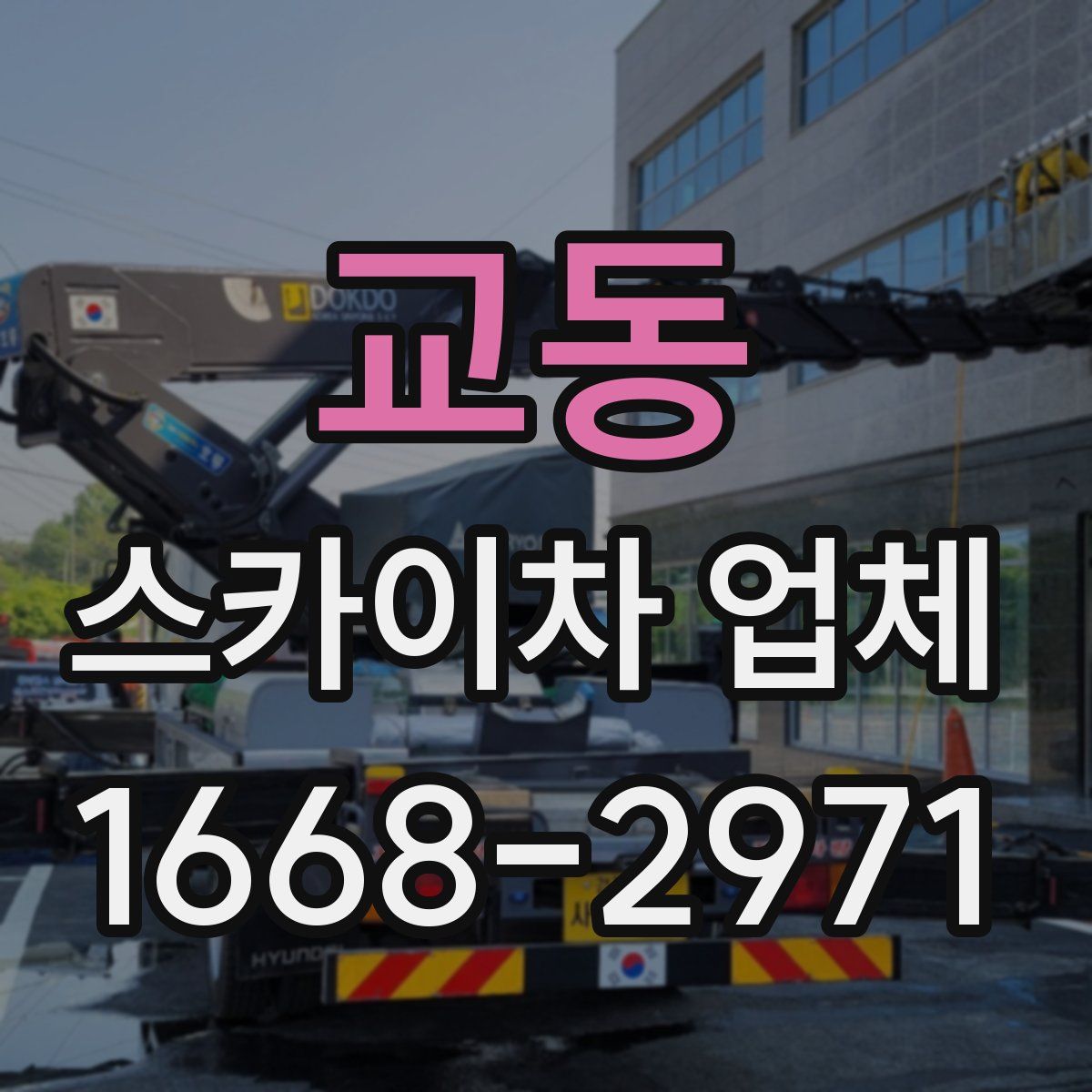 교동 스카이차 업체