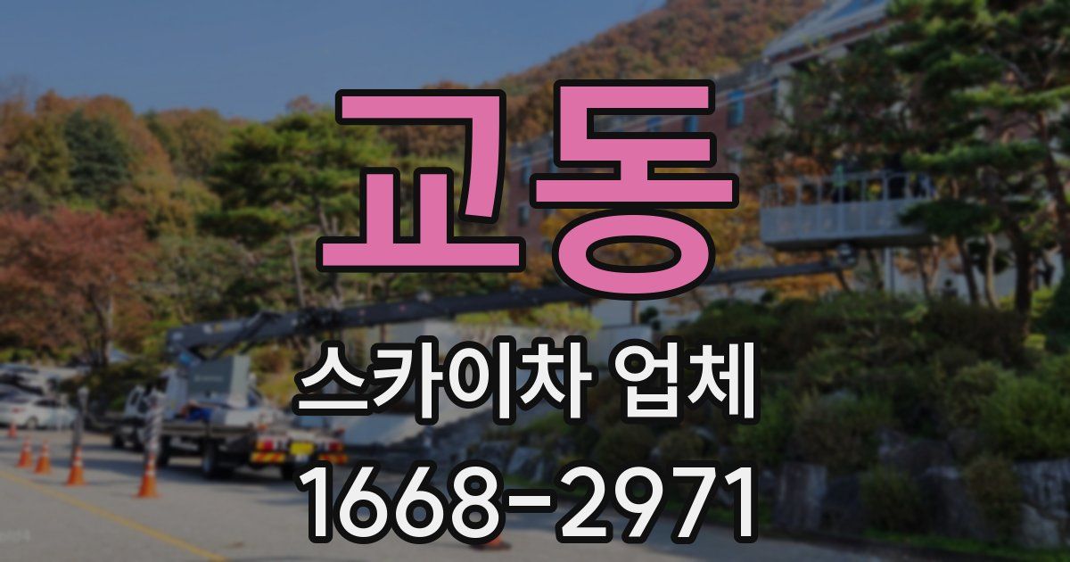교동 스카이차 업체