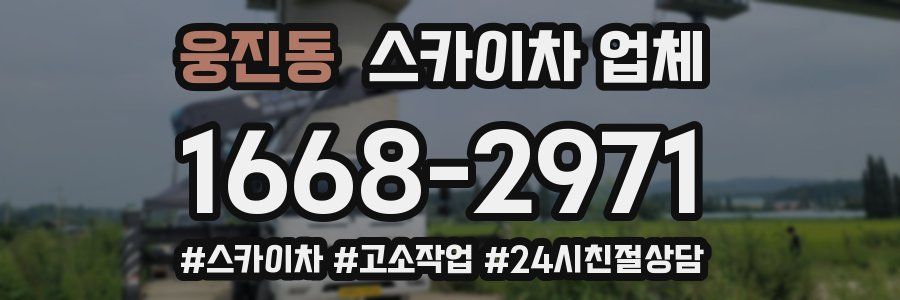 웅진동 스카이차 업체