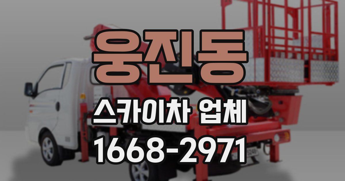 웅진동 스카이차 업체