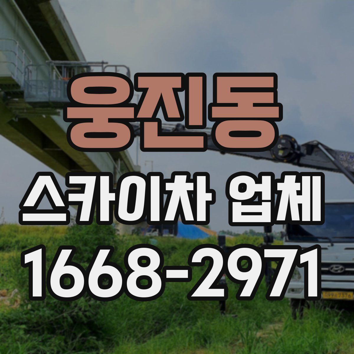 웅진동 스카이차 업체